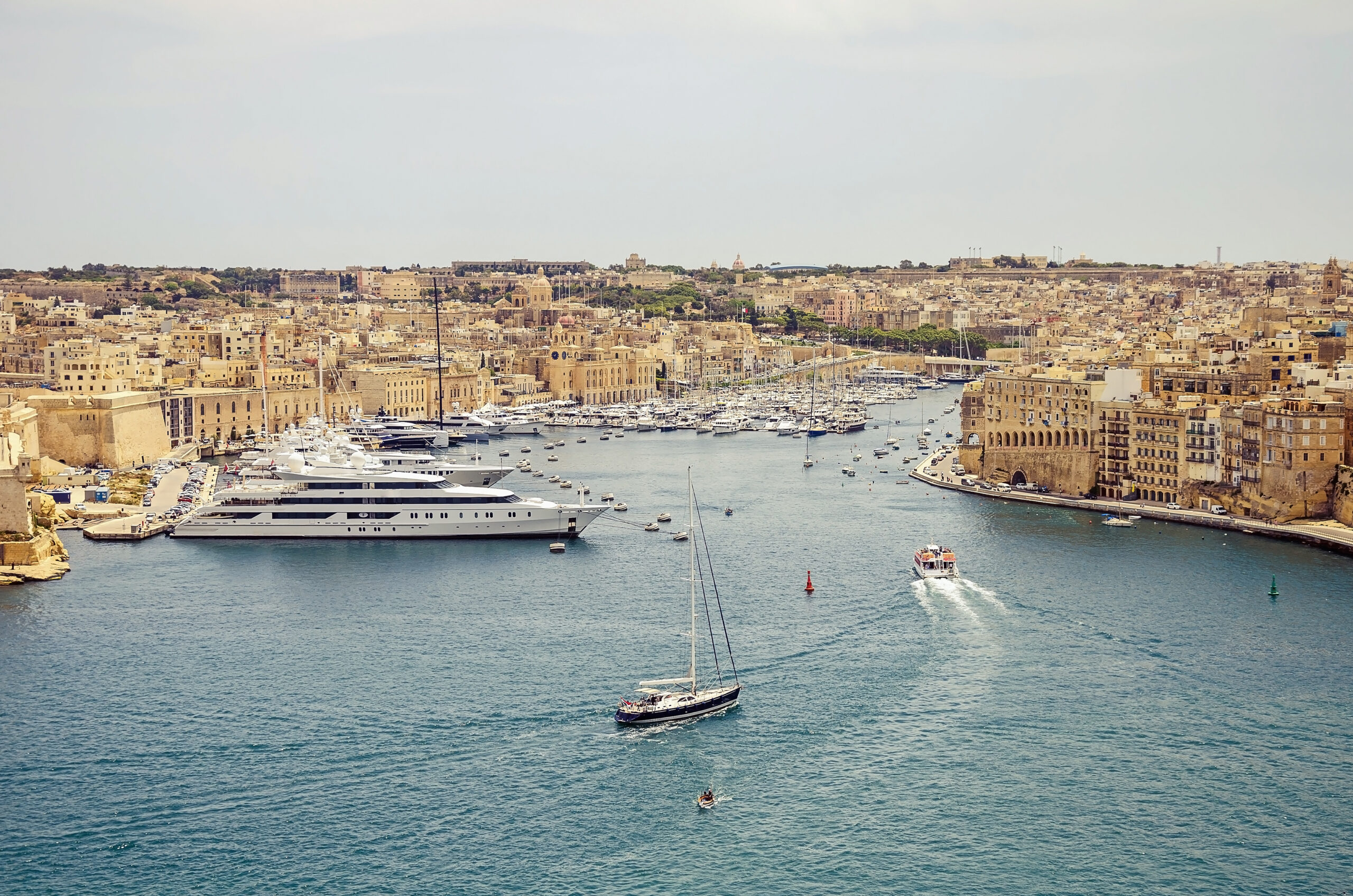 A Day on the D42 Antonio: What to Expect